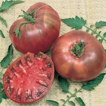 Cherokee Purple Tomato Seeds, Heirloom, NON-GMO, Variety Sizes, FREE SHI... - $35.53 MXN+