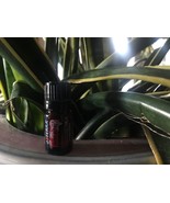 (3) doTERRA HOLIDAY JOY Holiday Blend 5 mL Essential Oil  NEW &amp; SEALED E... - $25.23