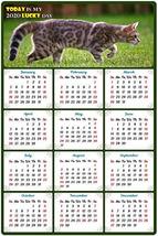 2020 Magnetic Calendar - Calendar Magnets - Today is My Lucky Day - Cat ... - £12.45 GBP