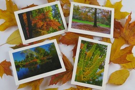 4 FALL NATURE Blank Photo Greeting Cards, 5X7, Perfect gift! - £10.85 GBP