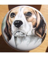 Ceramic Cabinet Knobs Knob  Beagle DOG Monica - £3.57 GBP