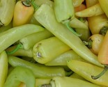 Hungarian Hot Wax Pepper Seeds 50 Yellow Vegetable Garden Fast Shipping - $8.99