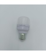 LushLoom Lightbulbs Daylight white 5000KLED bulbs for indoor and outdoor - €9,50 EUR