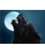Metaphysical WEREWOLF male Shape Shift power Black Siberian Werewolf mys... - $34.44