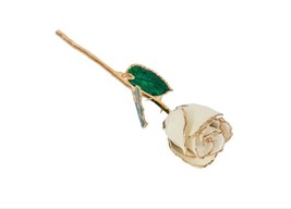 Lacquered White Rose with Gold Trim - $100.99