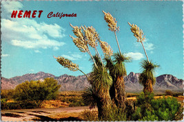 Vtg Postcard Memet California, Spanish Bayonet, Desert Yuca Continental UNP - £5.16 GBP