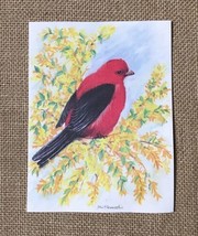 John F Cornacchio Illustration Scarlet Tanager Red Bird Blank Note Card - $2.77