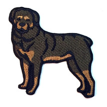 Rottweiler Dog Patch Iron on No Name - £4.89 GBP