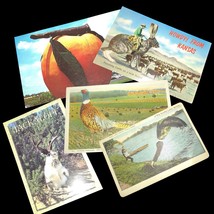 Assorted Exaggerated Postcards - $12.87+
