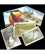 Assorted Exaggerated Postcards - £10.19 GBP+