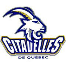 Quebec Citadelles AHL Hockey Mens Polo XS-6XL, LT-4XLT Montreal Canadiens New - £17.47 GBP+