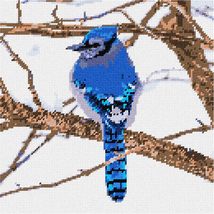 Pepita Needlepoint Canvas: Bluejay in The Snow, 10&quot; x 10&quot; - £62.74 GBP+