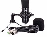 CAD Audio CAD GXL2200 Cardioid Condenser Microphone, Champagne Finish (A... - £78.30 GBP