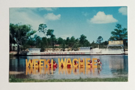 Weeki Wachee Spring of the Mermaids Florida Attraction Dexter Postcard 1950s - £7.88 GBP