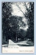 The Walks Street View Ann Arbor Michigan MI Raphael Tuck UNP UDB Postcard P13 - $9.85