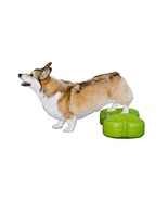 FitPaws Dog K9 FitBone Duo Disk Pump Inflatable Bundle Senior Strengthening - $203.47 CAD