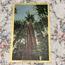 Postcard CA Redwood Highway The Founders Tree 1933 Linen Vintage PC J2797 - $2.45