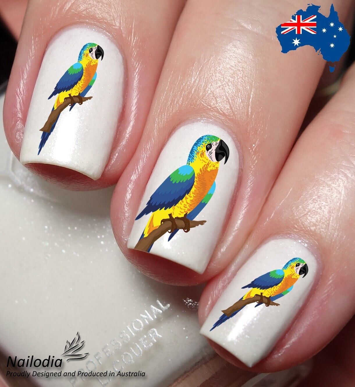 Parrot and Macaw lover Nail Art Decal Sticker Water Transfer Slider - Bird Theme