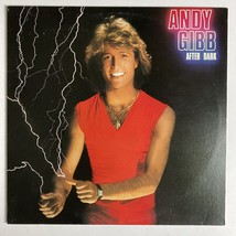 Vintage Andy Gibb After Dark LP Vinyl RSO 13069 - £6.36 GBP