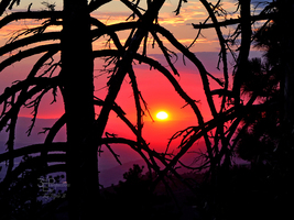 Mountain Sunset, Abstract Nature Tree Art - Fine Art Photo, Metal, Canvas, Paper - £25.17 GBP+