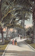Palm Beach Florida Fl~Lake Front AVENUE~1910s Postcard - £10.54 GBP
