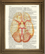 Vintage Diccionario Página Estampado: Anatómico Brain Ilustración, Amari... - £5.20 GBP