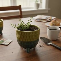Textured Planter Small 3.5 Inch Ceramic Plant Pot Earthy Green, Muted Olive - $26.56 CAD