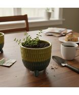 Textured Planter Small 3.5 Inch Ceramic Plant Pot Earthy Green, Muted Olive - $18.80