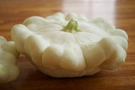 HeirloomSupplySuccess 30 Heirloom Early White Bush Scallop Squash Seeds - £3.98 GBP