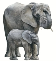 Realistic Elephant 3D Wall Decal 25.5&quot; x 22.8&quot; NEW! - £7.73 GBP
