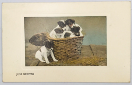Antique Valentine &amp; Sons 1910&#39;s Embossed Basket of Puppies Dogs Postcard - £9.02 GBP