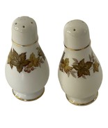 Capitol Ireland Autumn Tale Pattern Salt and Pepper Shaker Set Porcelain... - $18.70