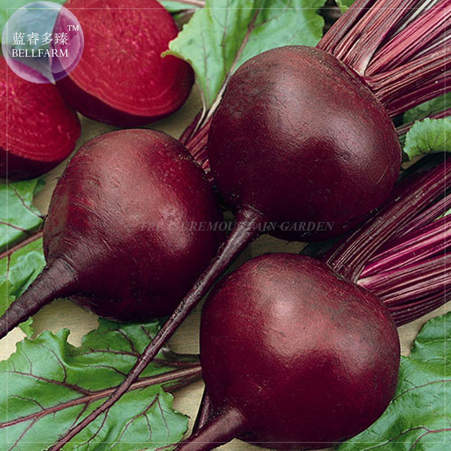 Dark Red Beet Seeds 50 Seeds - $7.99