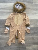 Lion Halloween Costume Infant 12-24 Months Gloves Hat Faux Fur Snaps Cuddly - $14.80