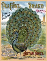 Wall Decor Poster.Home Room interior art design.Peacock bird.1881 Molasses.11642 - £13.22 GBP+