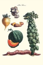 Vegetables; brussel sprouts, yam, potato, sweet, cantelope, melon, mushroom by P - £17.37 GBP+