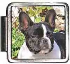 Boston Terrier Dog Italian Charm Bracelet Jewelry Link A10007 - £6.27 GBP