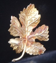 Gold Tone Maple Leaf Brooch Pin Jewelry Vintage - $9.89