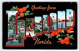 Greetings From Lakeland Florida Large Letter Linen Postcard 1940 Oranges Vintage - £8.56 GBP
