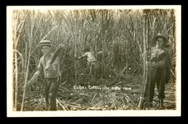 Vintage RPPC Real Photo Postcard Farmers Cutting Sugar Cane Fields Havana Cuba - £15.63 GBP