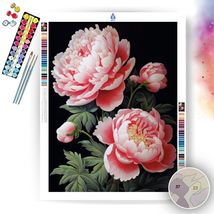 Midnight Peony Elegance- Paint by Numbers - £23.89 GBP+
