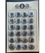 Original Card (24) Austrian Art Nouveau Vintage Black Eagle metal button... - $881.91 MXN