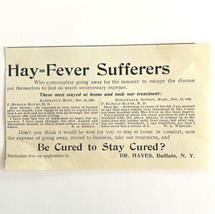 Dr Hayes Hay Fever Medicine 1894 Advertisement Victorian Buffalo NY 2 AD... - £9.99 GBP