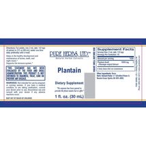 Pure Herbs: Plantain - 1 oz. (Natural Herbal Extracts) image 2