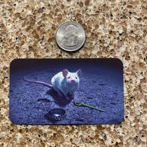 Cutter Hays Artist Writer “The Mouse Knight” Book Cover Print Business Card - €3,44 EUR