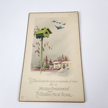 Postcard Merry Christmas And A Bright New Year Stecher 995 C Bluebirds Birdhouse - £3.15 GBP