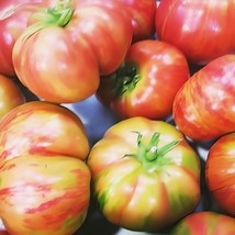 100 Vintage Wine Tomato Seeds Heirloom Nongmo DeterminateS - £6.24 GBP