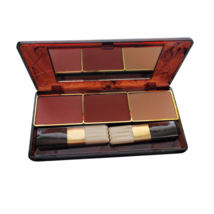 Estee Lauder Blush All Day Cheek Color RASPBERRY / TERRA - LUCIDITY Med ... - $16.66