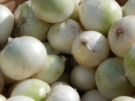 50 Seeds- Southport White Globe Onion -Tasty pearl-white-Delicate Onion Flavor   - £3.97 GBP