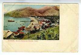 Avalon Santa Catalina Island California Undivided Back Postcard - £9.49 GBP